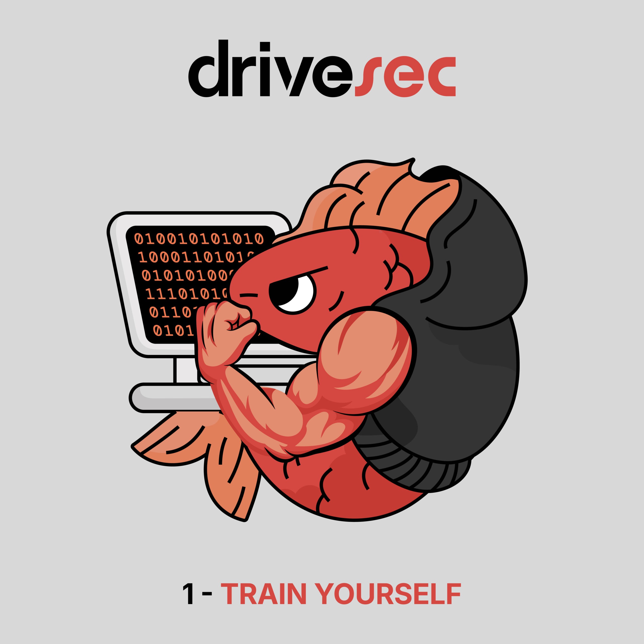 DRIVESEC_01